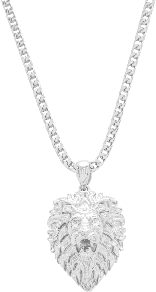 Silver Lion Pendant Necklace PNG