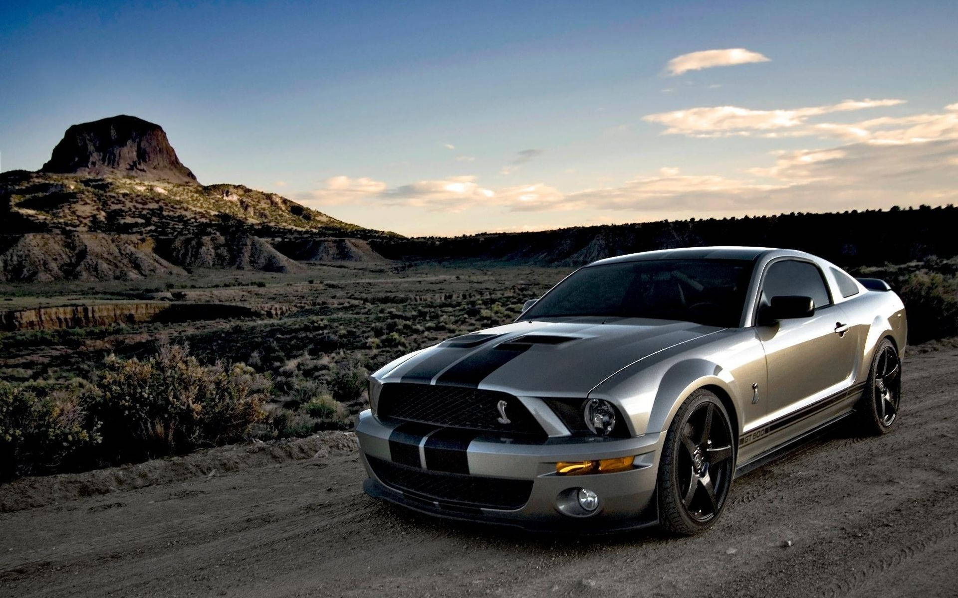 Silver Metallic Ford Mustang Shelby
