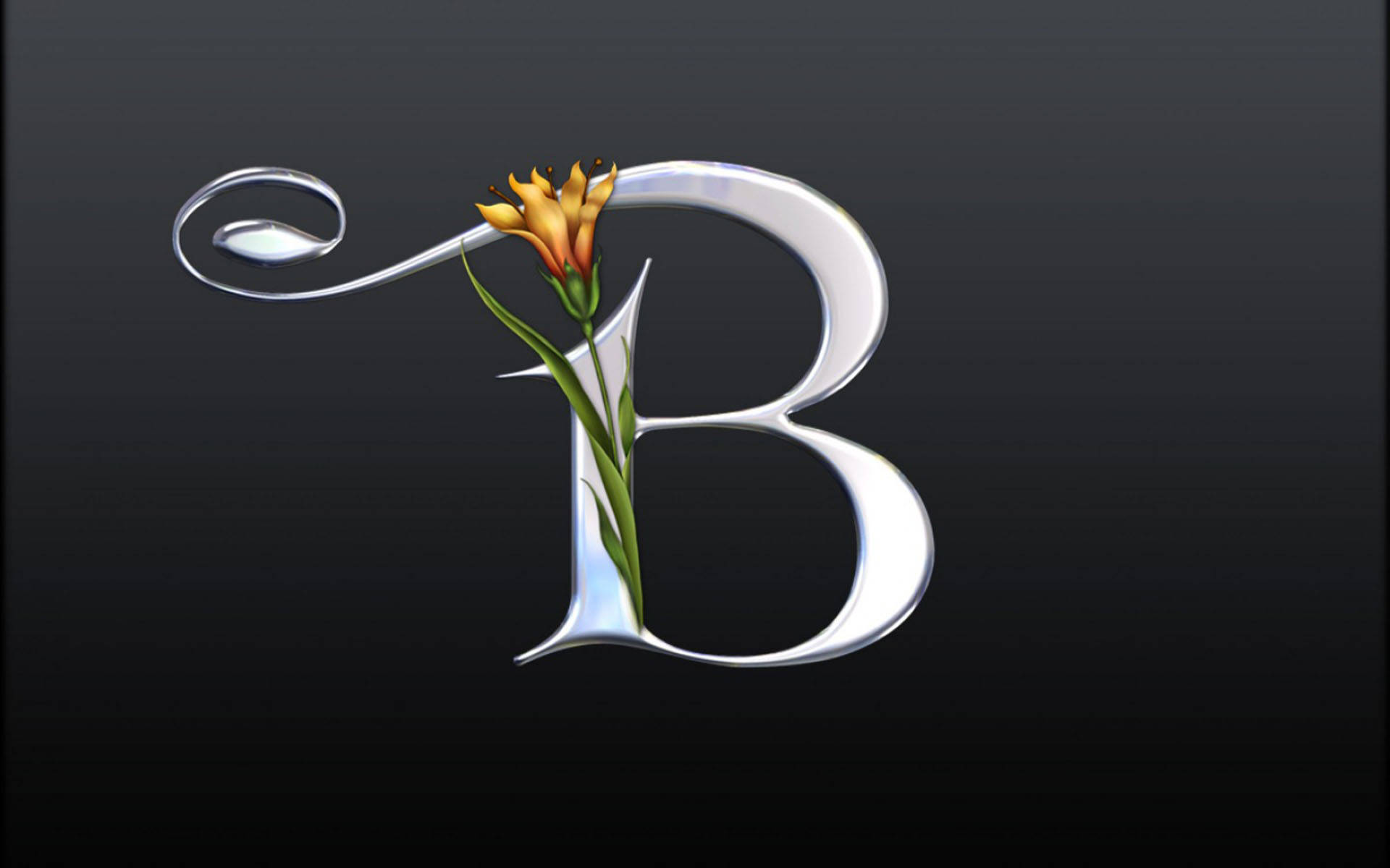 Silver Plated Letter B Wallpaper