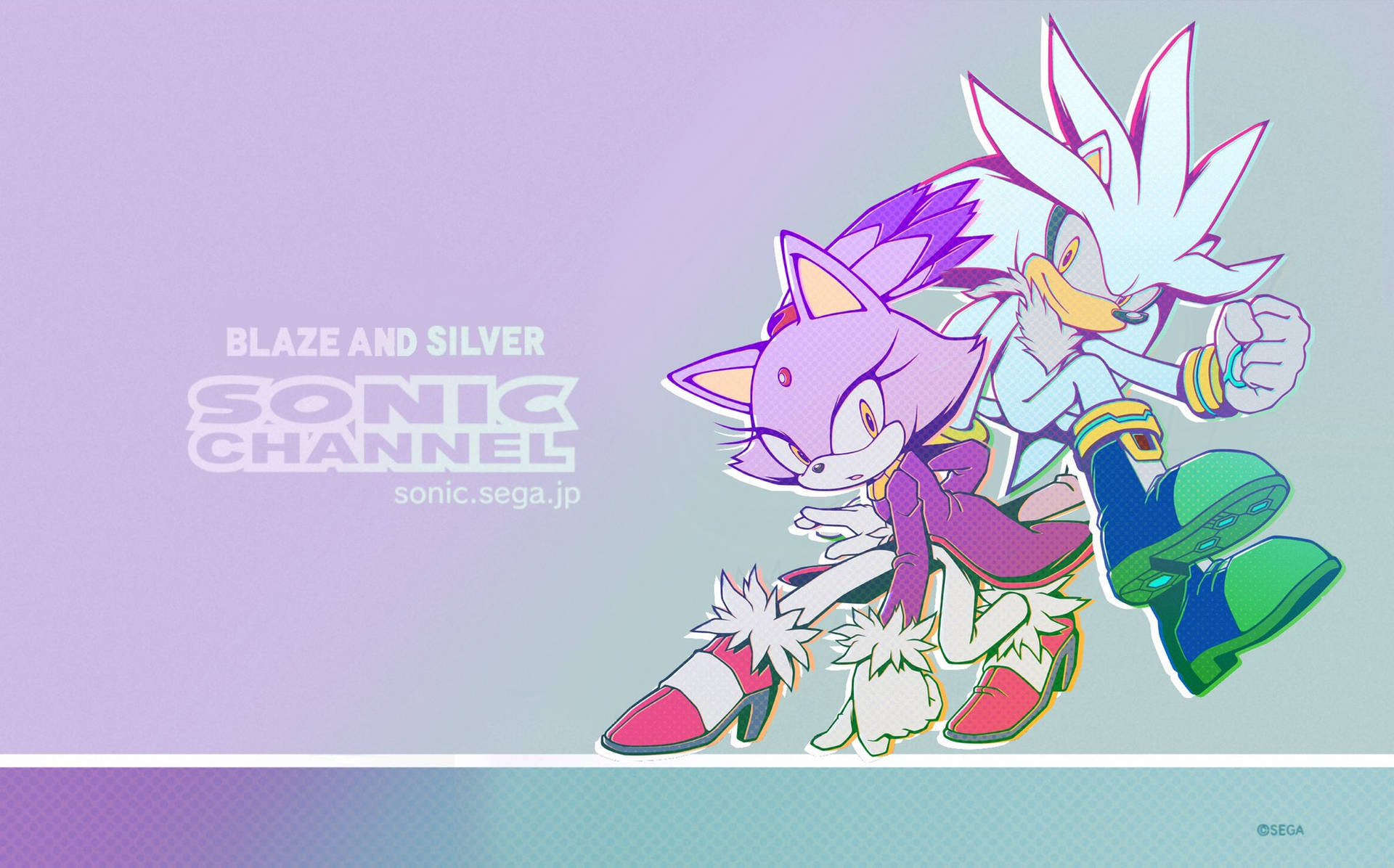 Silver The Hedgehog And Blaze Wallpaper