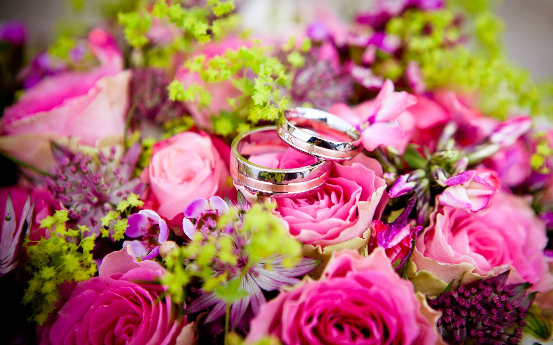 Silver Wedding Rings Pink Roses