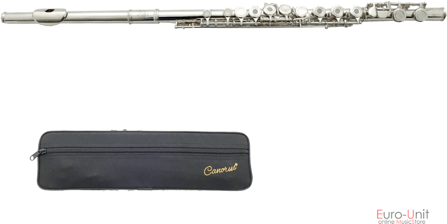 Silver_ Flute_with_ Case PNG