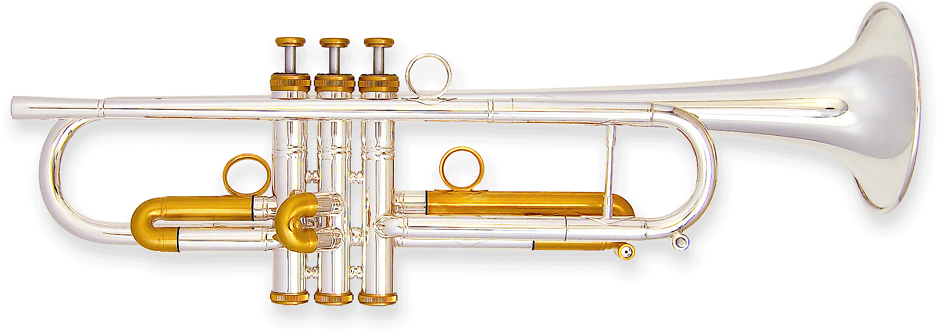 Silverand Gold Trumpet PNG