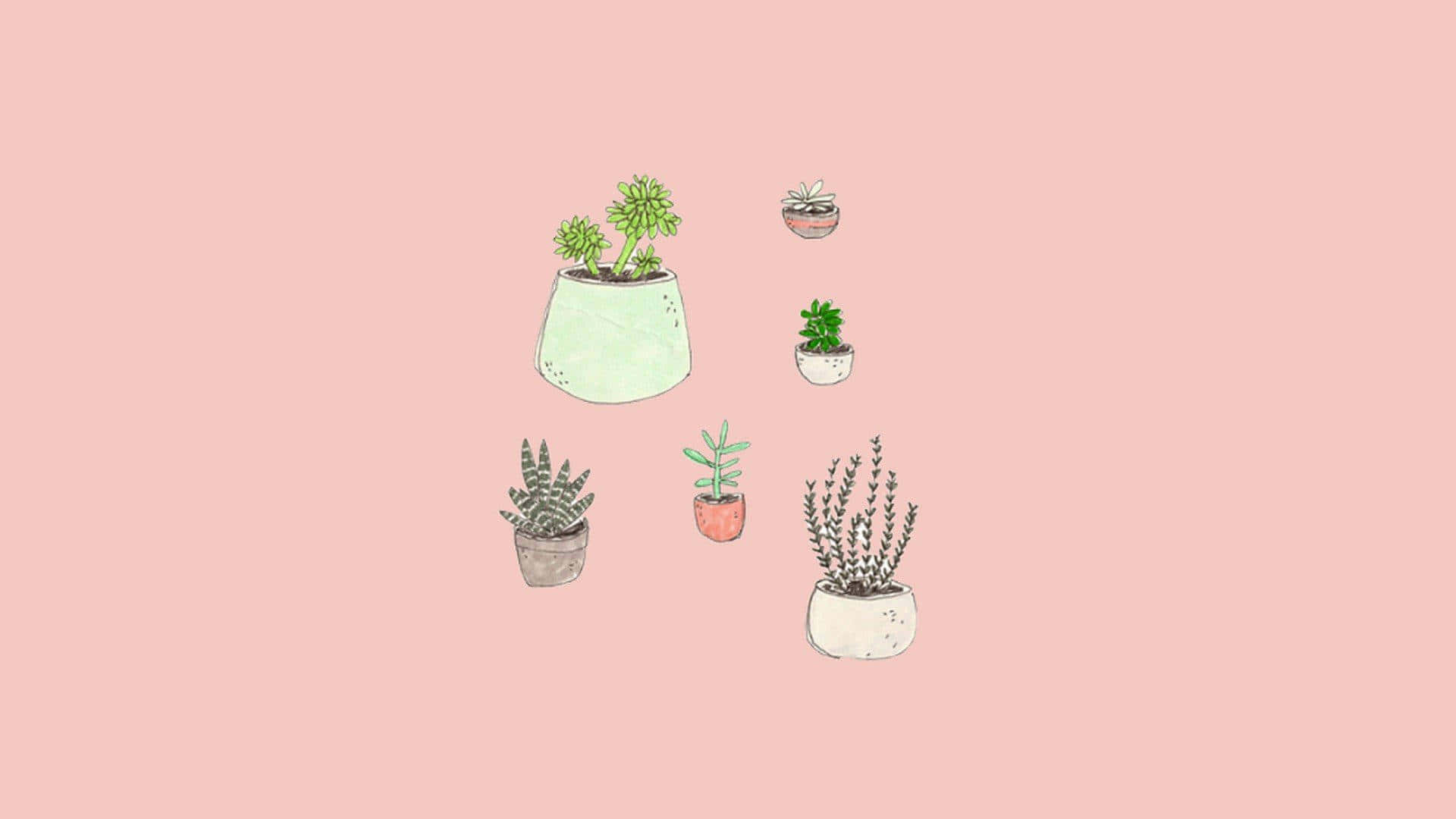 A Pink Background With Several Potted Plants Wallpaper