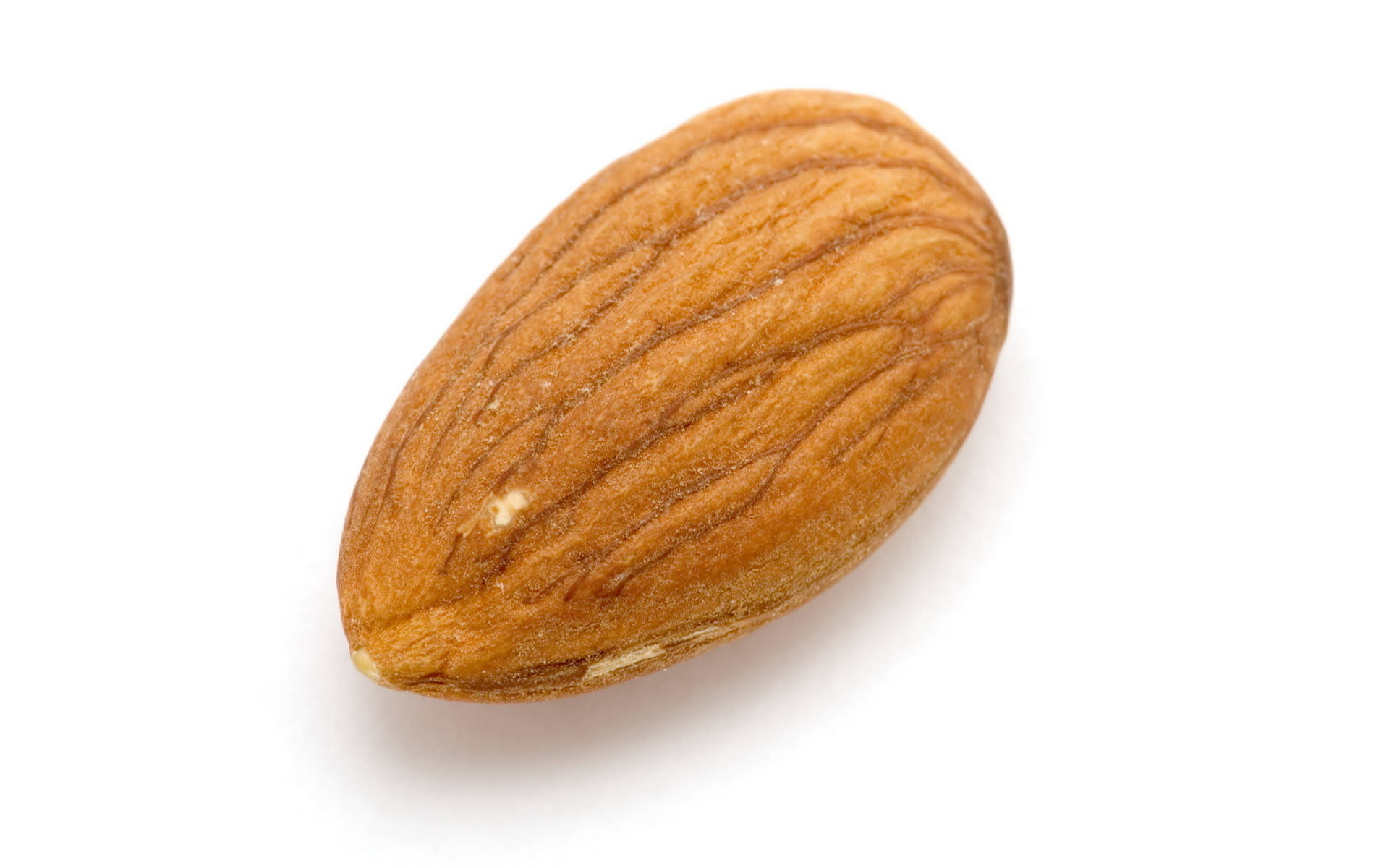 Simple Almond Nut Wallpaper