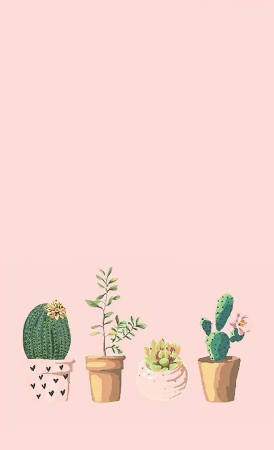 "A Simple and Cute Iphone for Any Occasion" Wallpaper