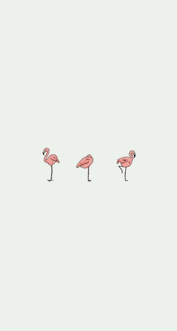 Enkel og sød iPhone Flamingo Wallpaper