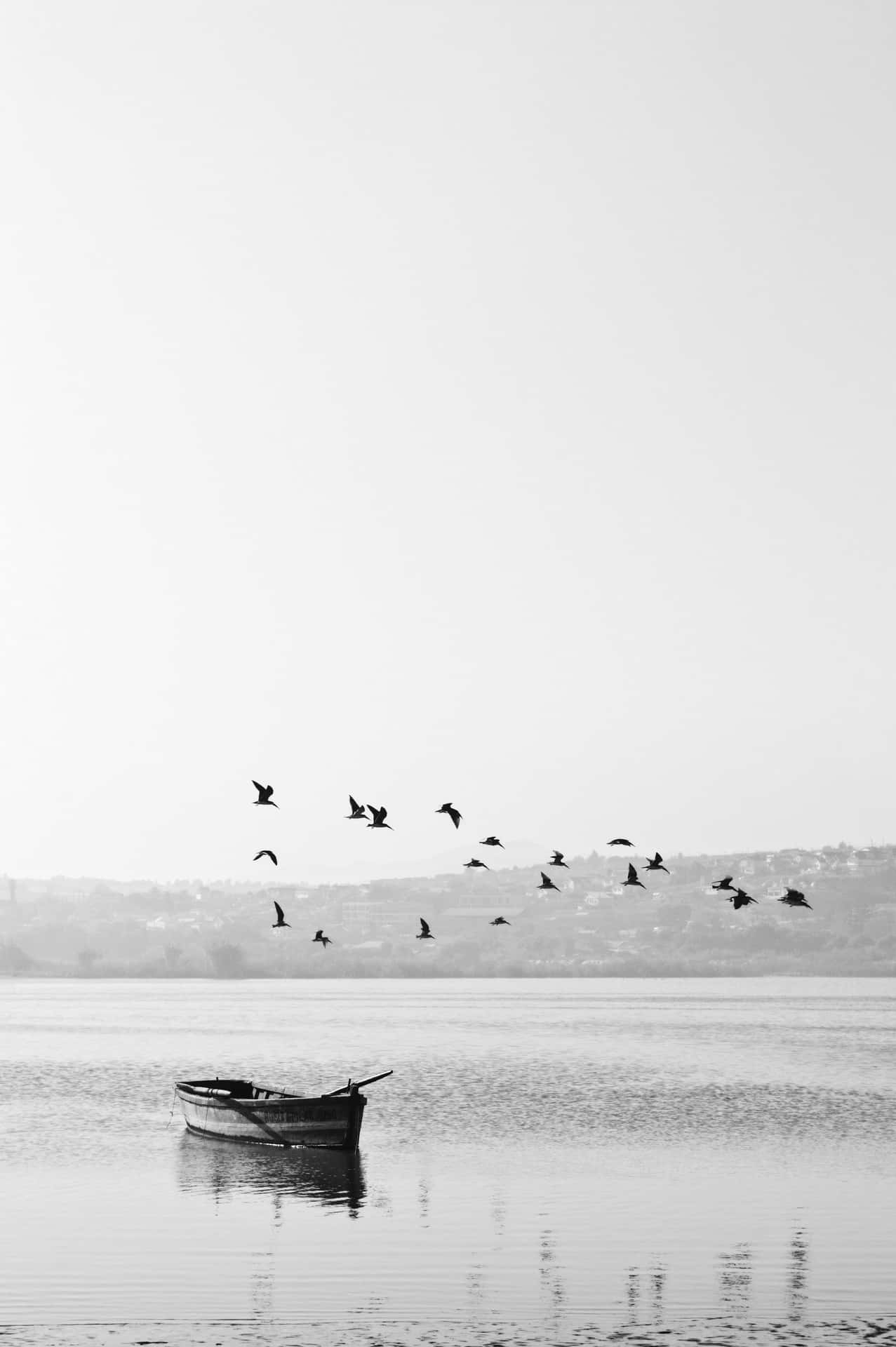 a boat with birds flying over it Wallpaper