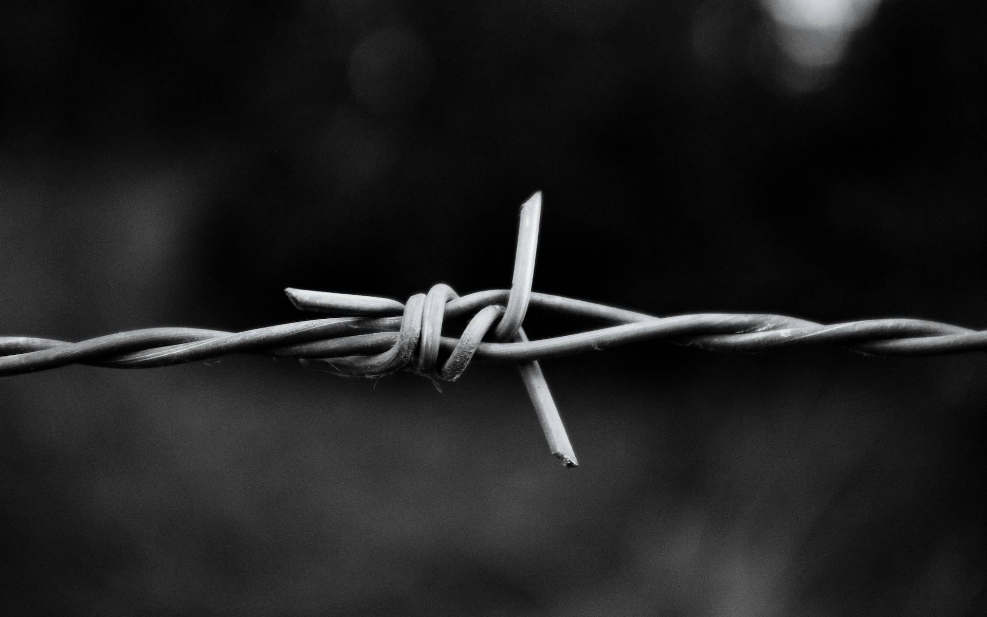 Simple Black Barbed Wire Close-up
