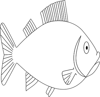 Simple Blackand White Fish Illustration PNG