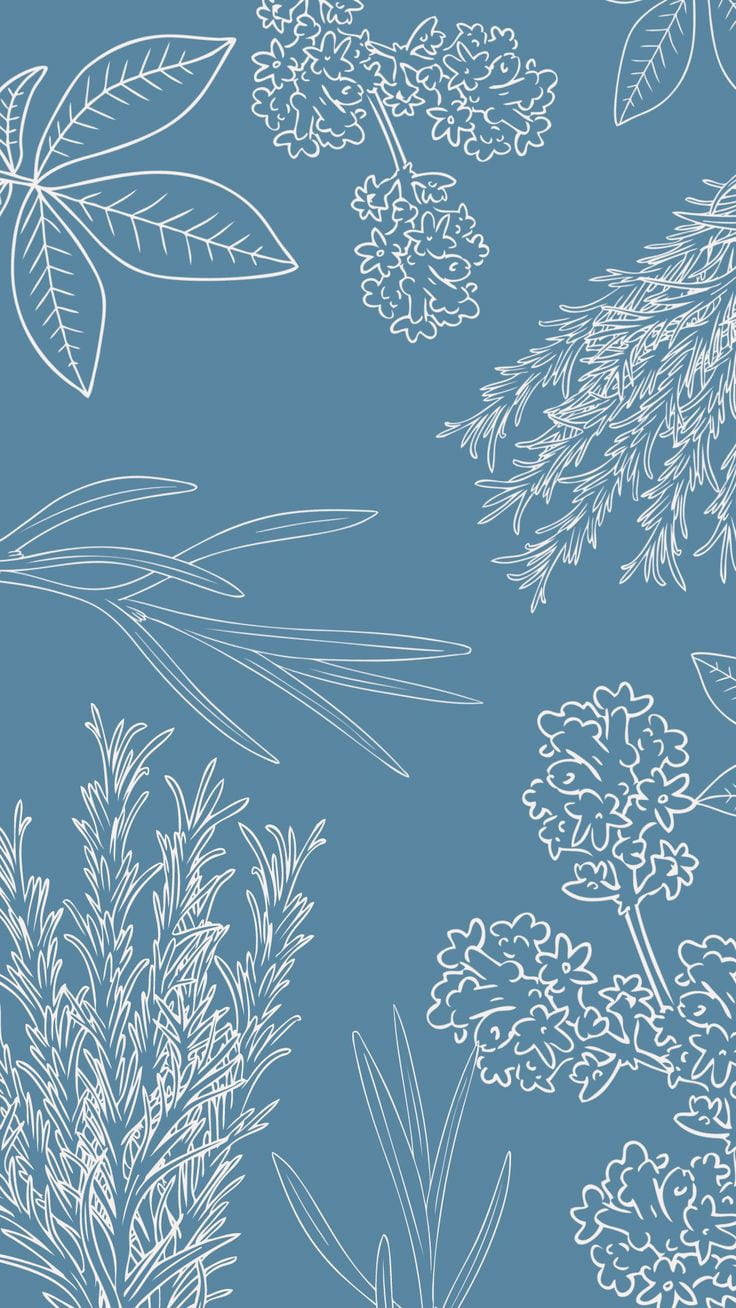 Download Simple Blue Aesthetic Plant Art Wallpaper