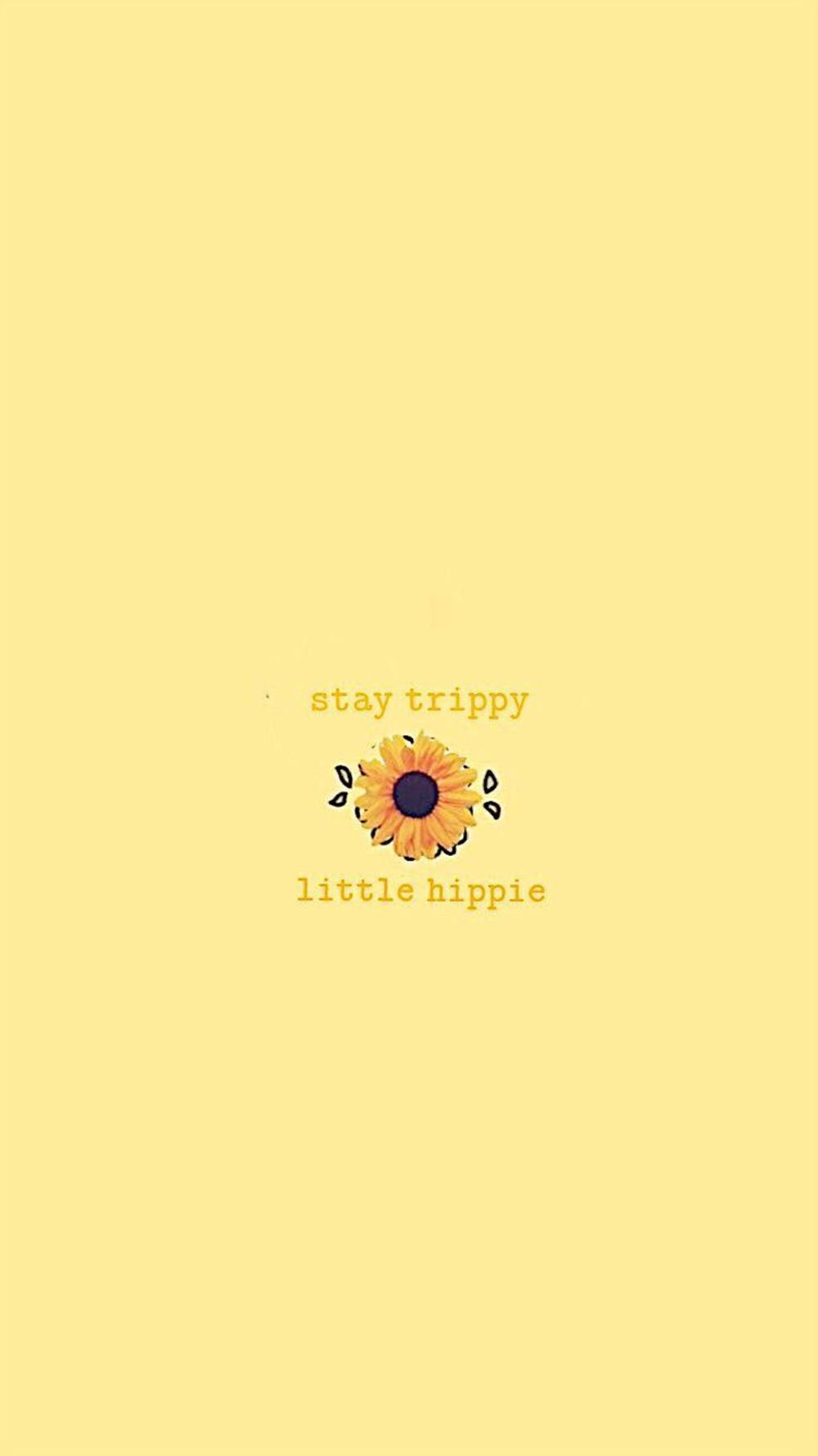 Simple Boho Sunflower Background