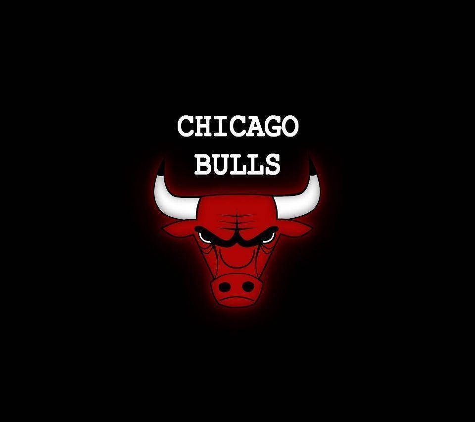 Simple Bulls Logo Fanart Wallpaper
