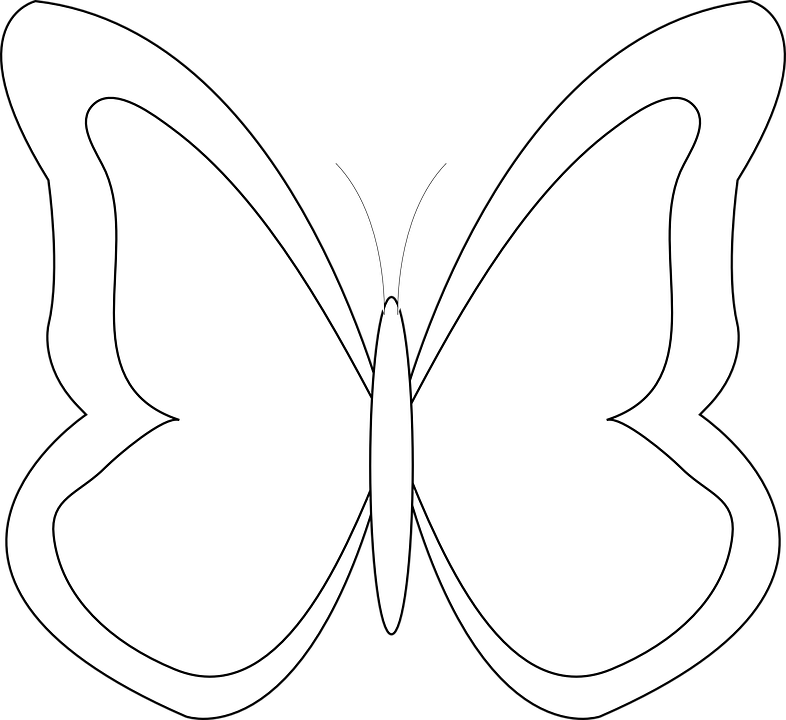 Simple Butterfly Outline Graphic PNG
