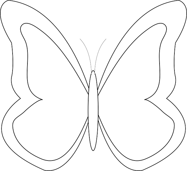 Simple Butterfly Outline Graphic PNG