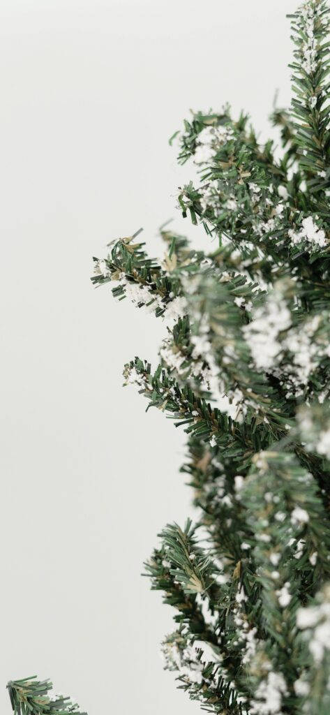 Minimalistic Christmas Pine Branches Wallpaper