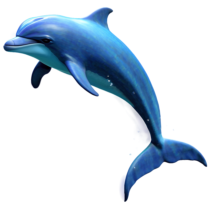 Download Simple Dolphin Png 05062024 | Wallpapers.com