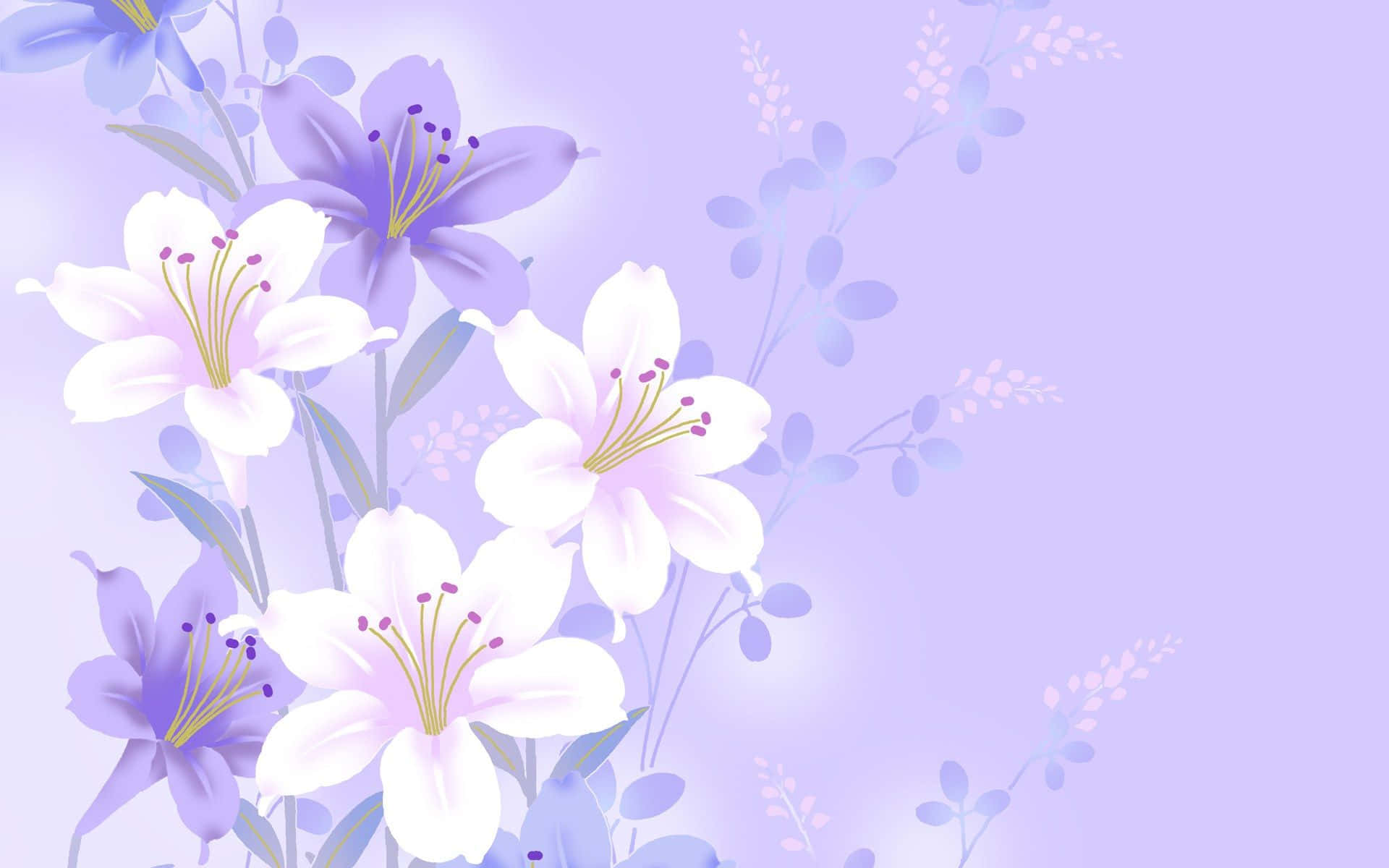 Einlila-weißer Blumenhintergrund Mit Blumen Wallpaper