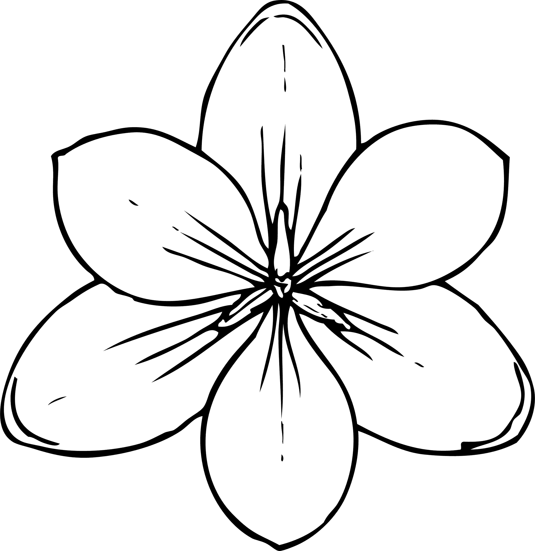 Simple Flower Line Drawing PNG