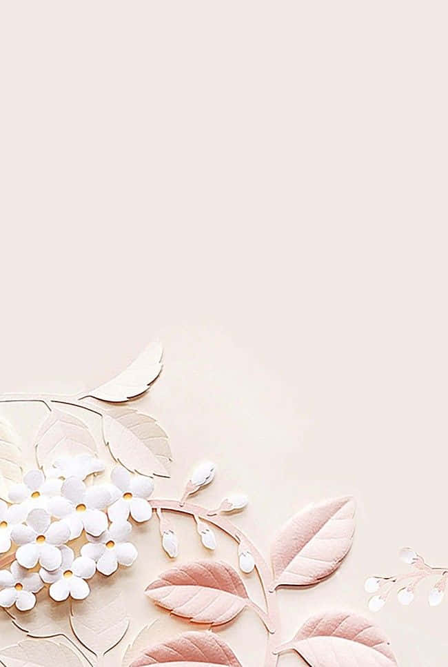 Enkel og elegant hvid blomst Wallpaper