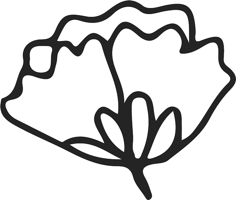 Simple Flower Outline Graphic PNG