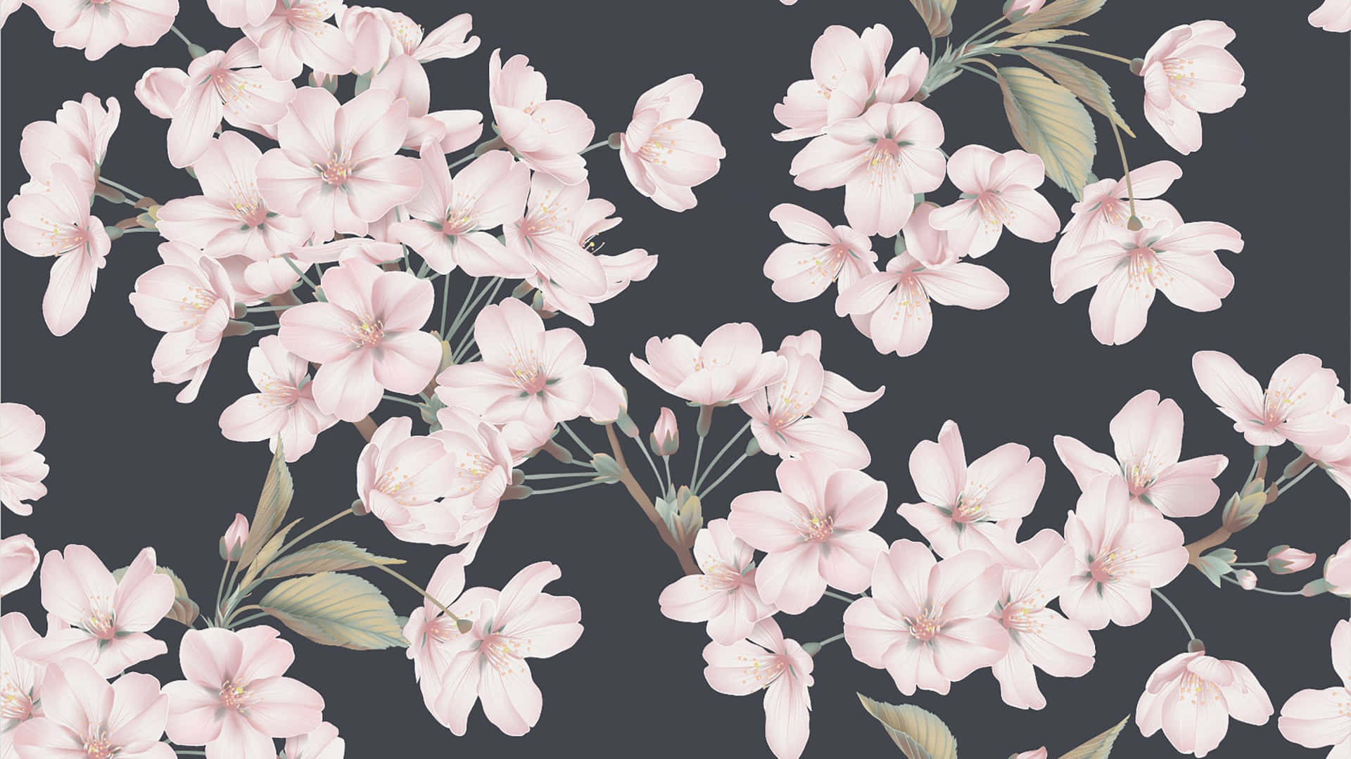 Einewunderschöne Lila Blume, Die In Einem Garten Wächst. Wallpaper