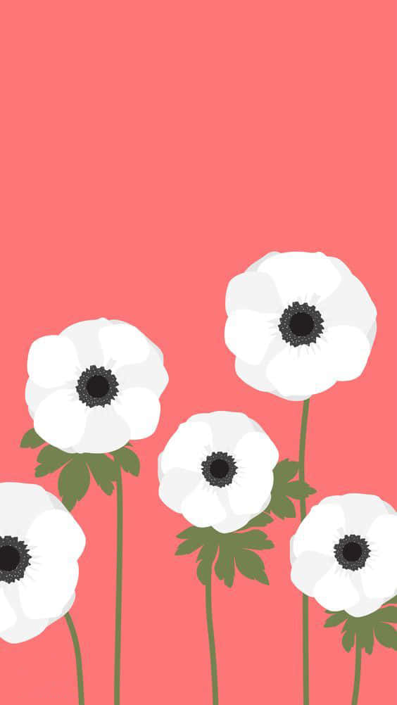 En enkelt, simpel blomst blomstrer Wallpaper