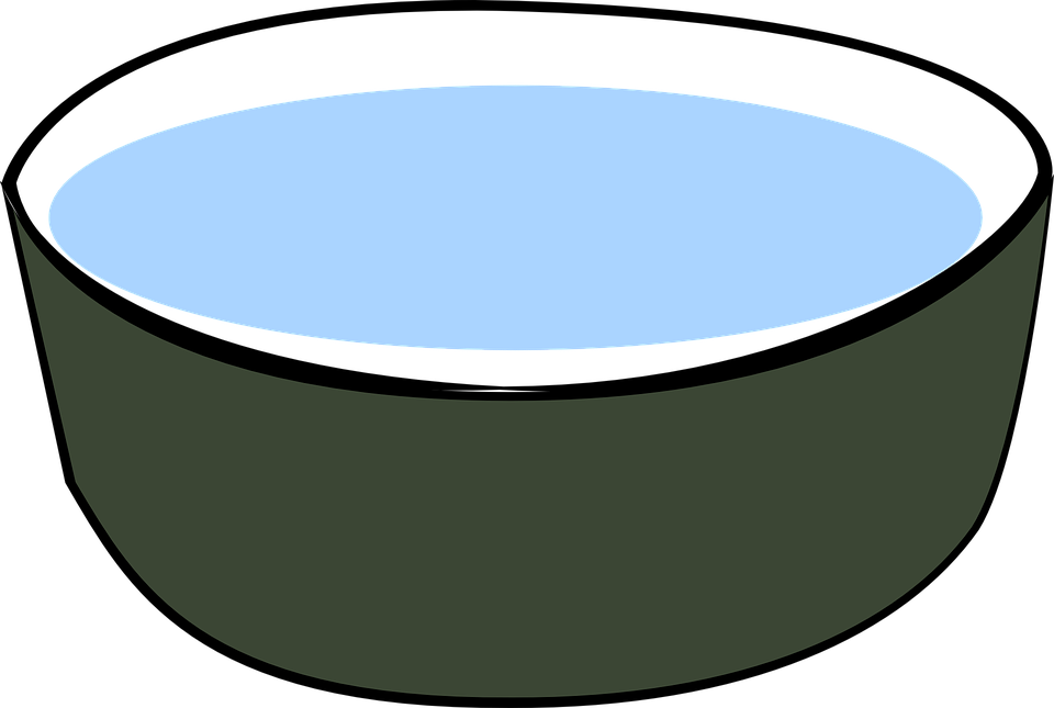 Simple Green Bowl PNG