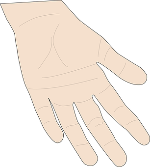 Simple Hand Illustration PNG