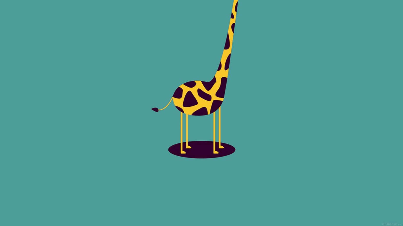 a giraffe standing on a blue background Wallpaper