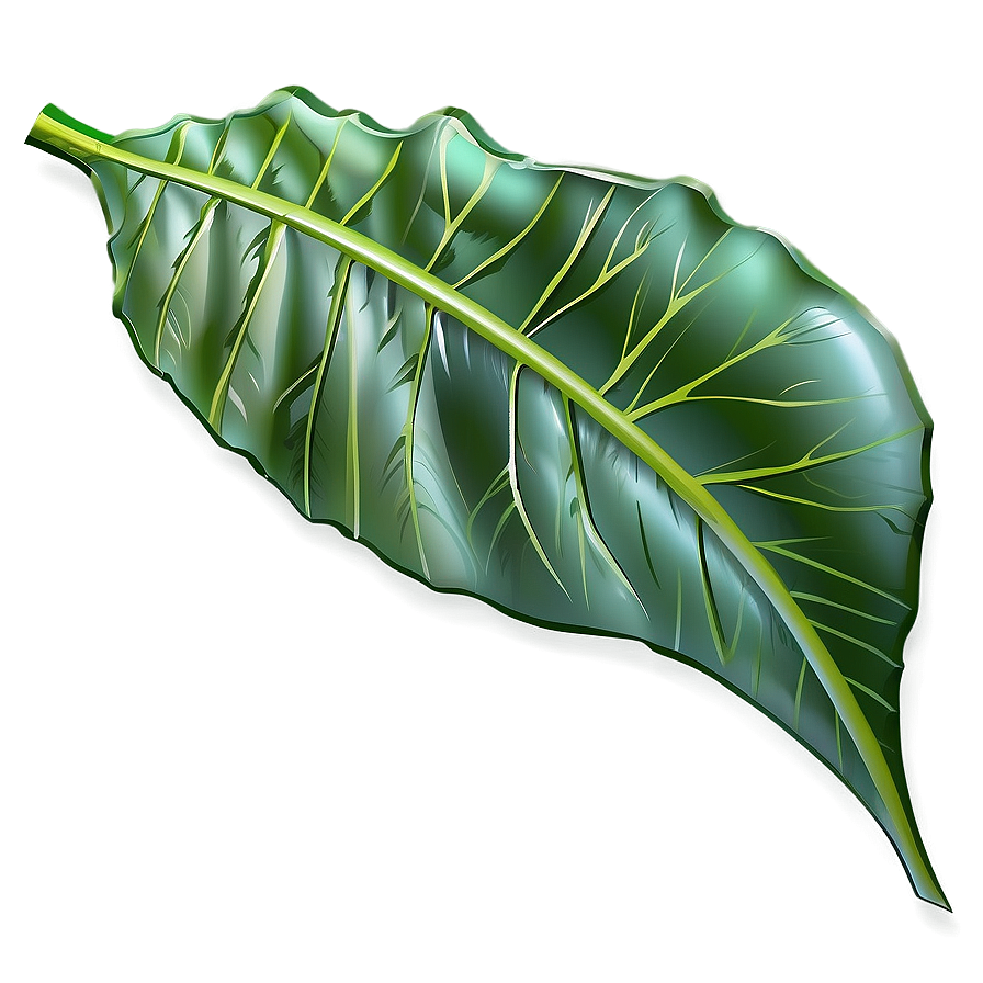 Simple Leaf Png 05032024 PNG