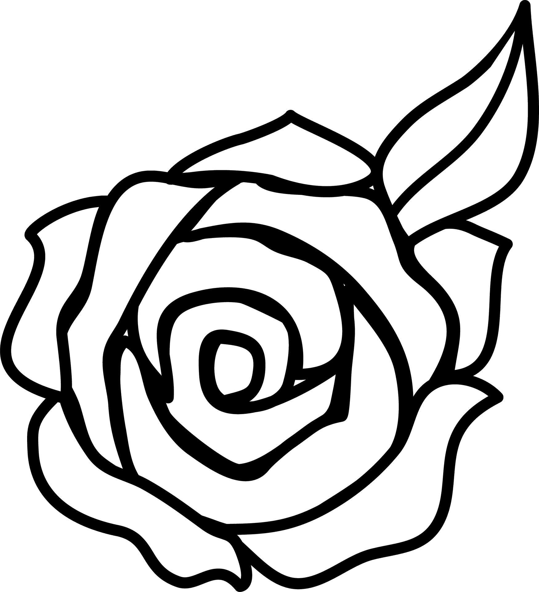 Simple Line Art Rose Drawing PNG