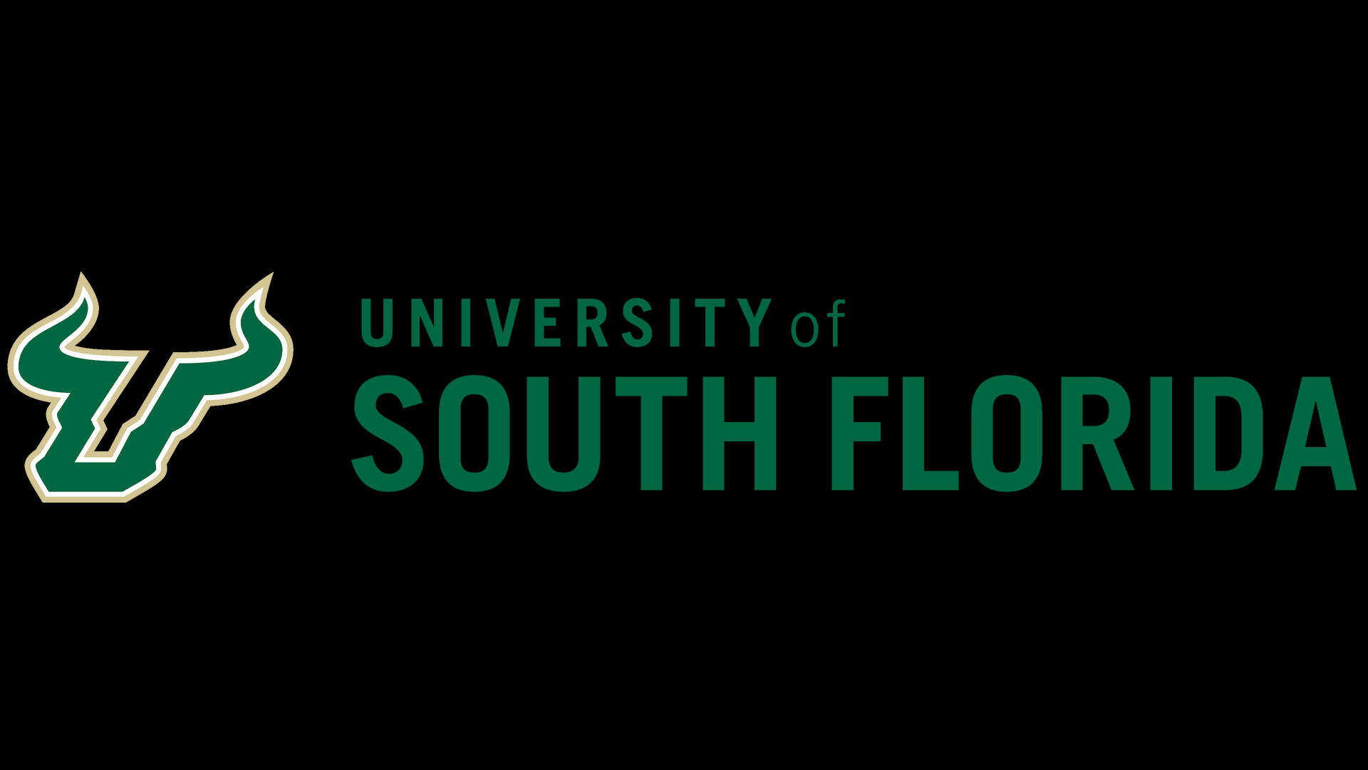 Logosemplice Dell'università Del Sud Della Florida Sfondo