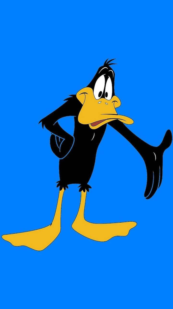Simple Photo Of Daffy Duck