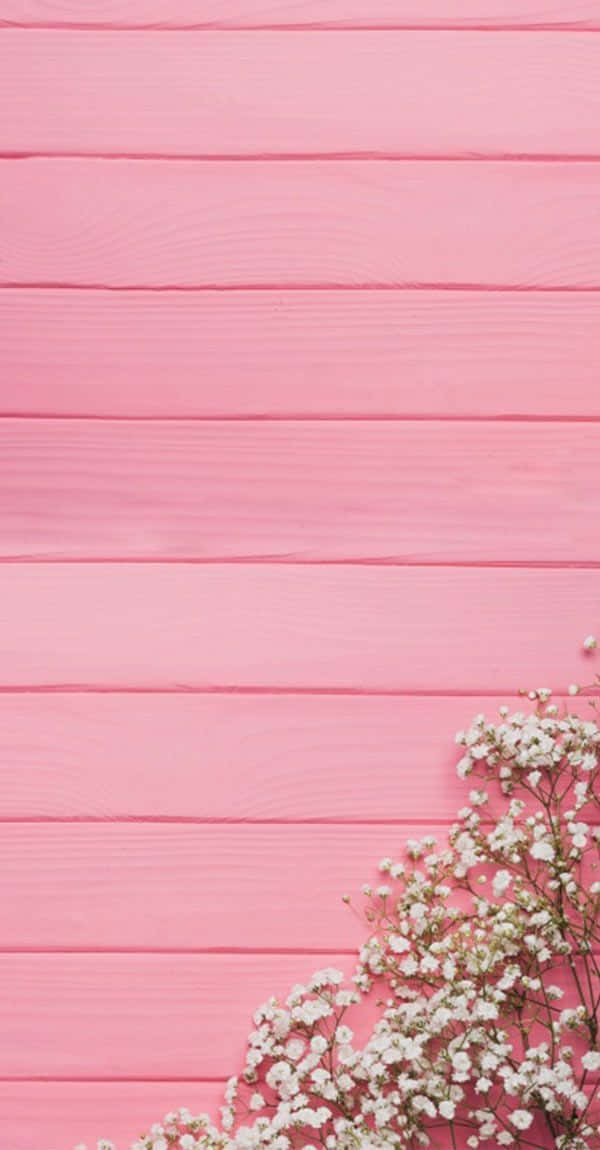 Eineinfaches, Aber Stilvolles Rosarosa Wallpaper