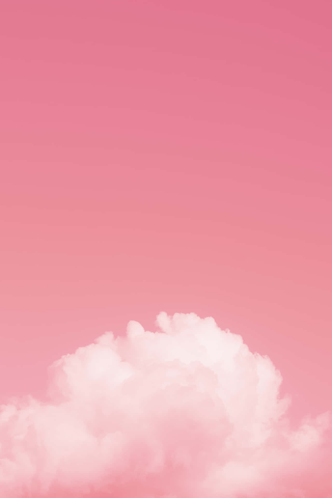 Simple Pink Cloud Wallpaper