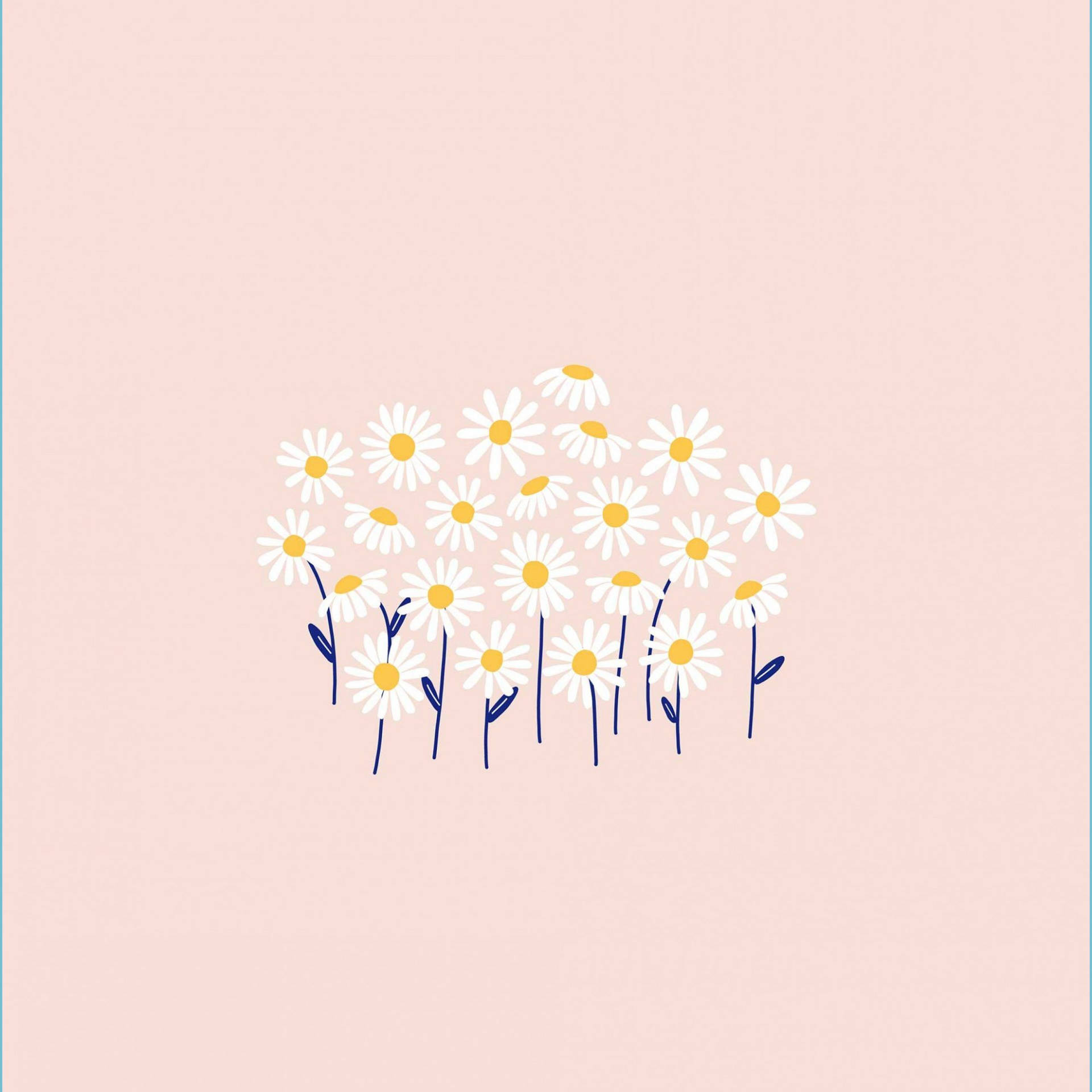 Simple Pink White Daisy Aesthetic Art Wallpaper