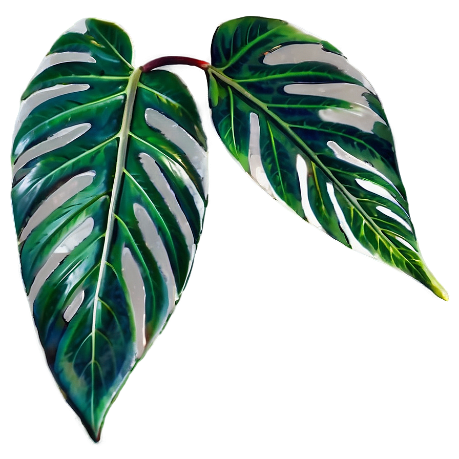 Simple Plant Leaves Png 06232024 PNG