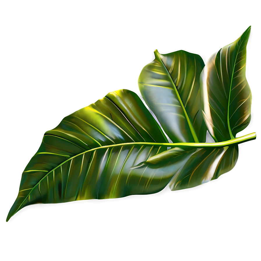 Simple Plant Leaves Png 06232024 PNG