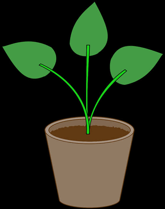Simple Plantin Pot Illustration PNG