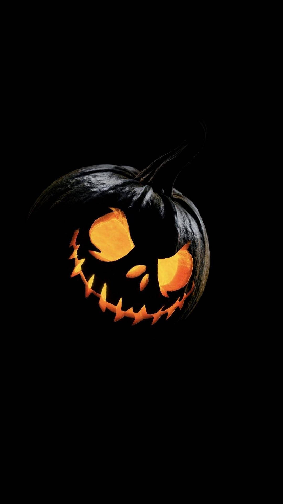 Download Simple Pumpkin Halloween Phone Wallpaper 