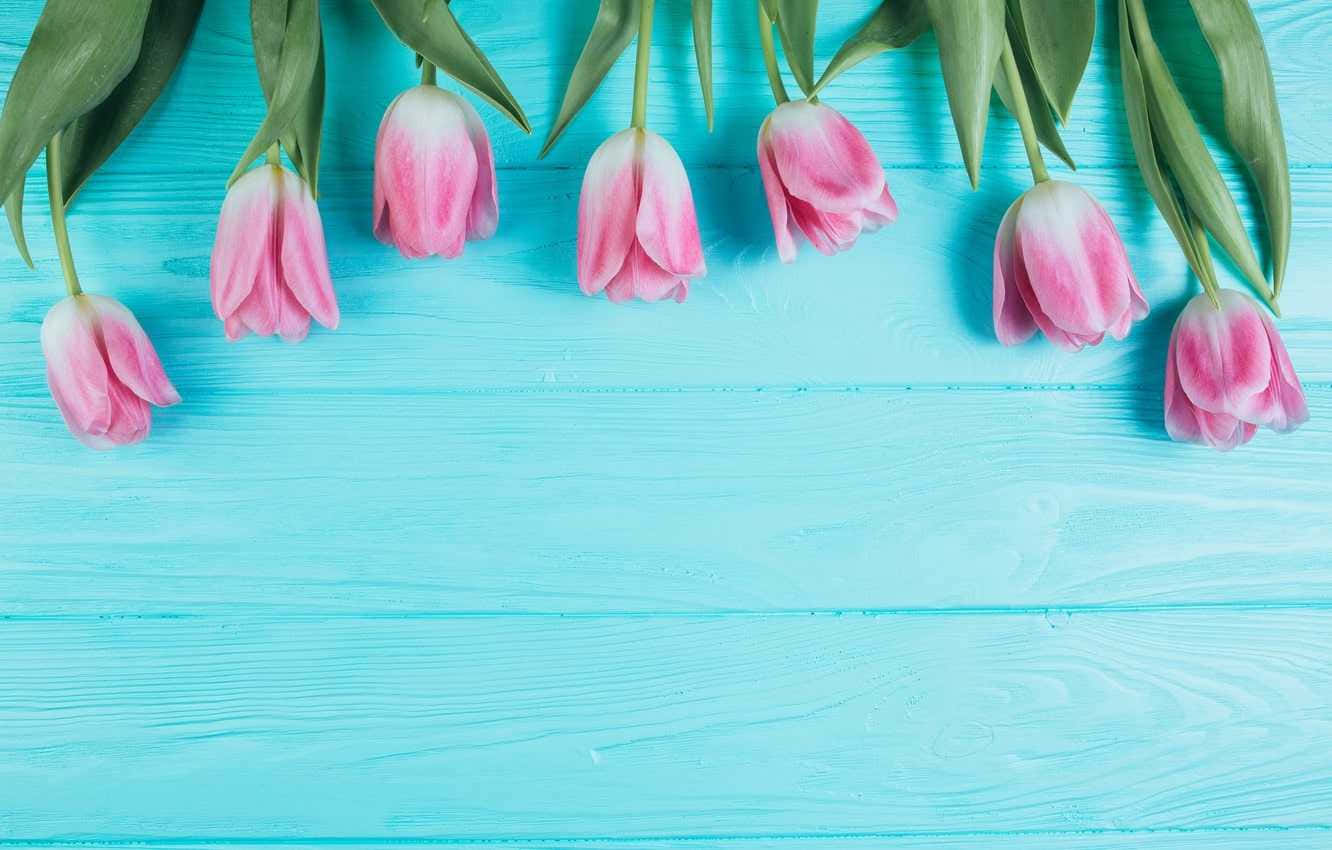 Frischensie Ihren Raum Mit Einem Einfachen Frühjahrsstil Auf. Wallpaper