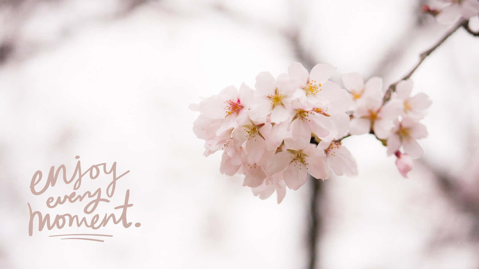 Simple Spring Bunch Of Flower Wallpaper