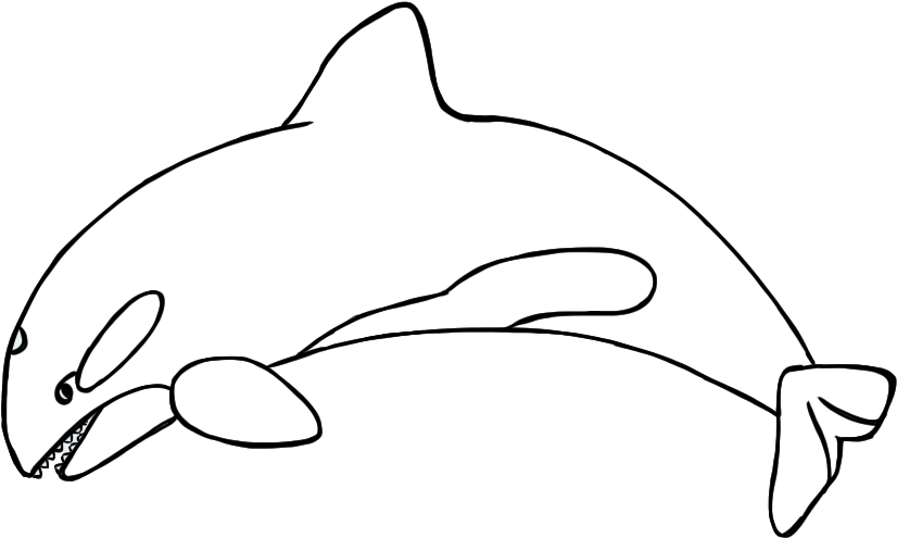 Download Simple Whale Line Art | Wallpapers.com