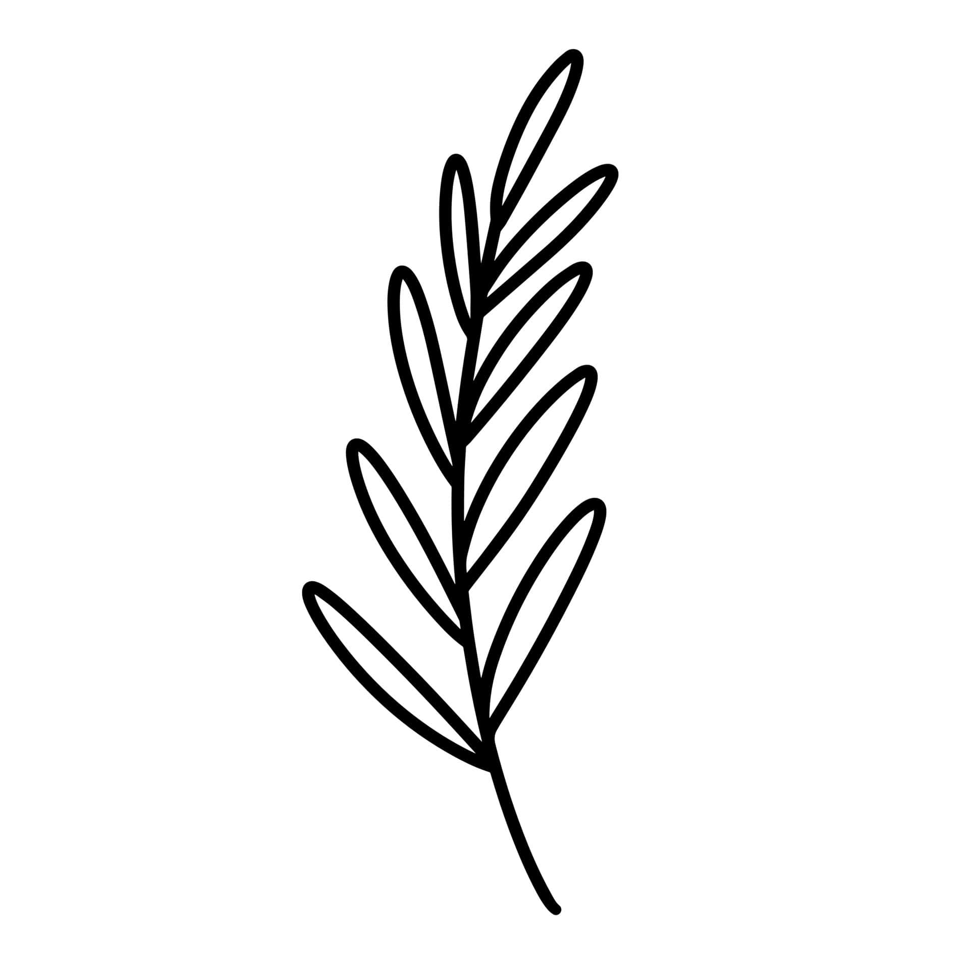A Simple Line Drawing Of A Leaf