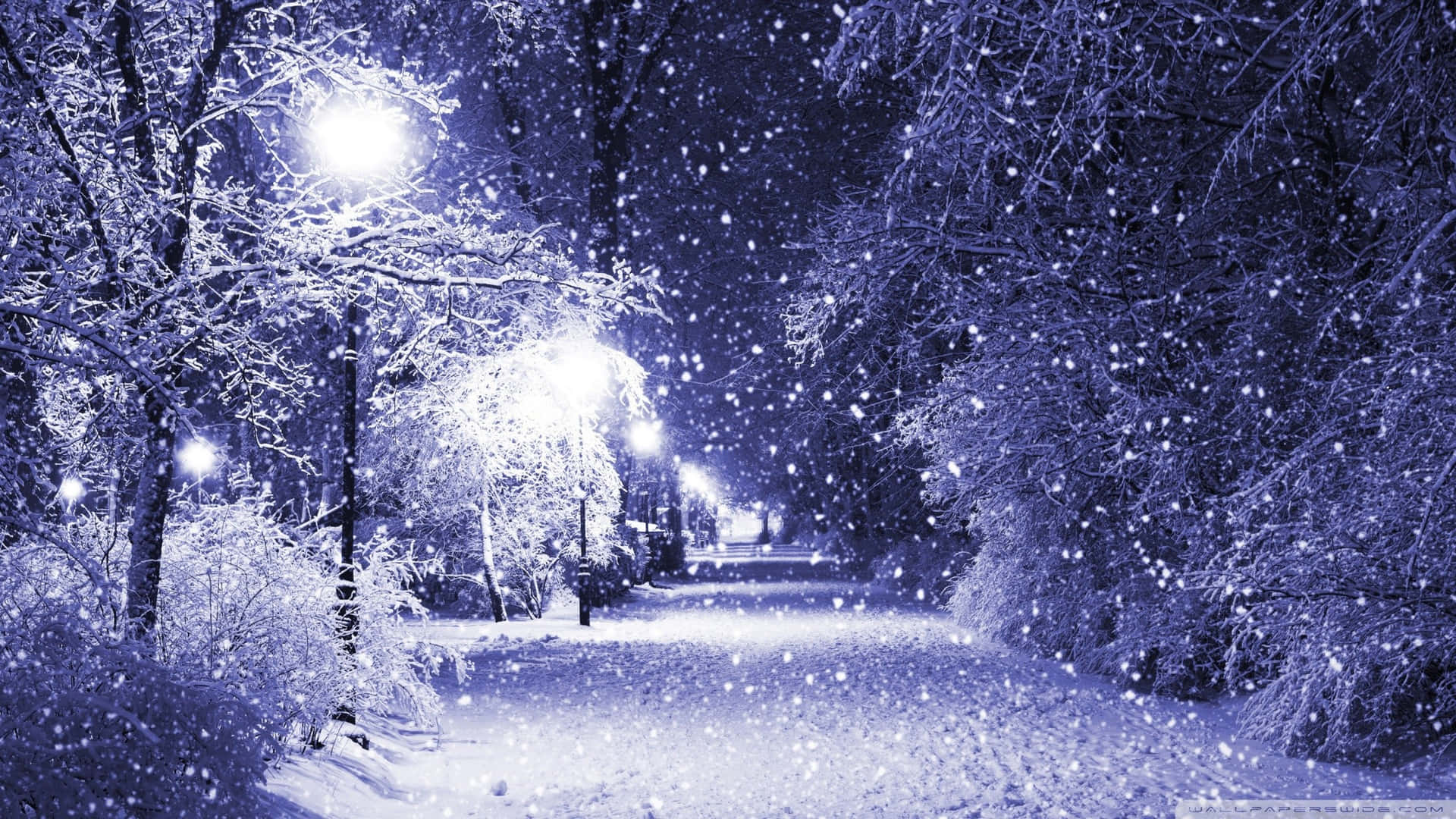 Simplecamino Nevado De Invierno Con Luces Y Árboles. Fondo de pantalla