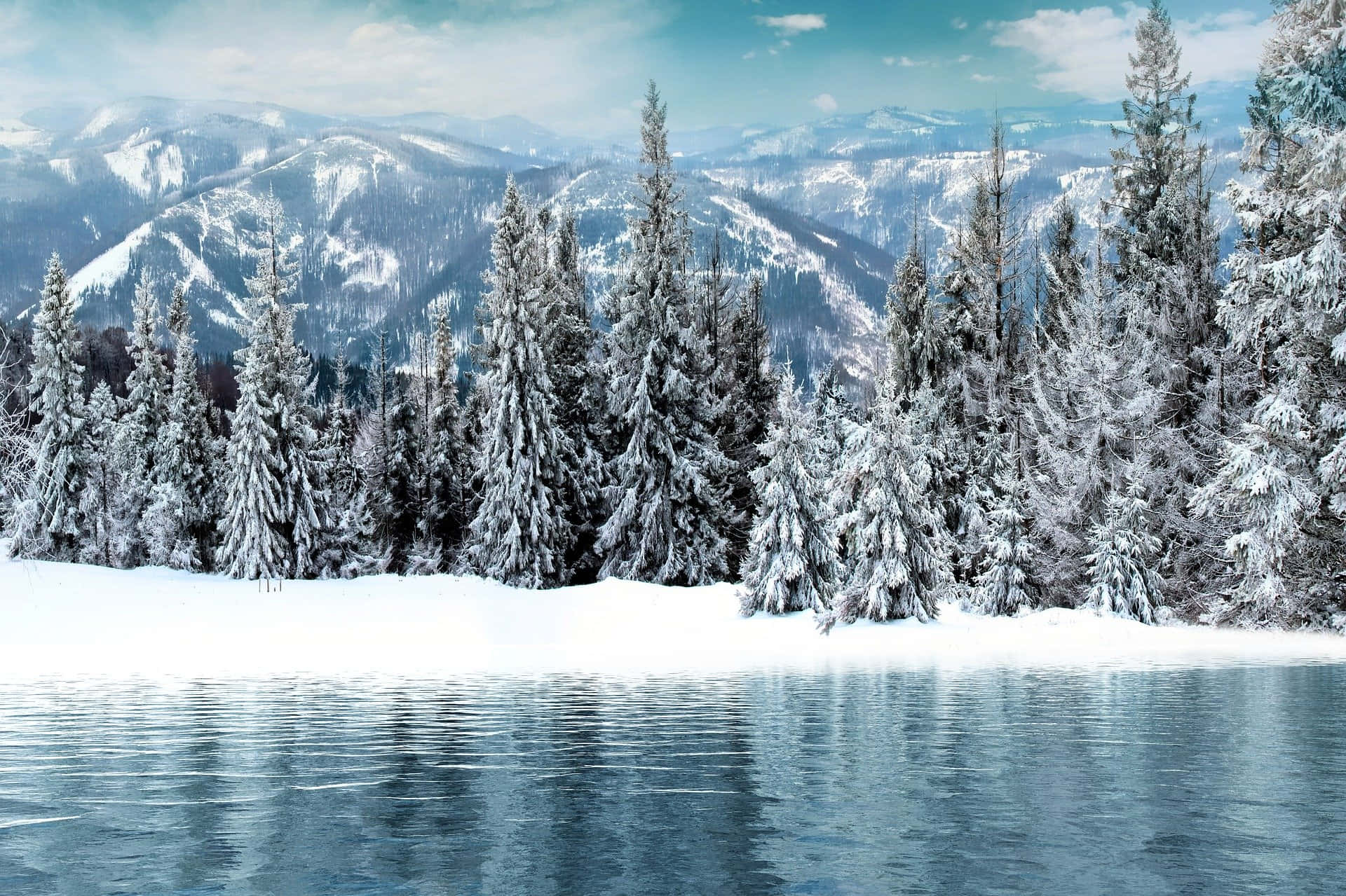 Simpleinvierno Árboles Lago De Montañas. Fondo de pantalla