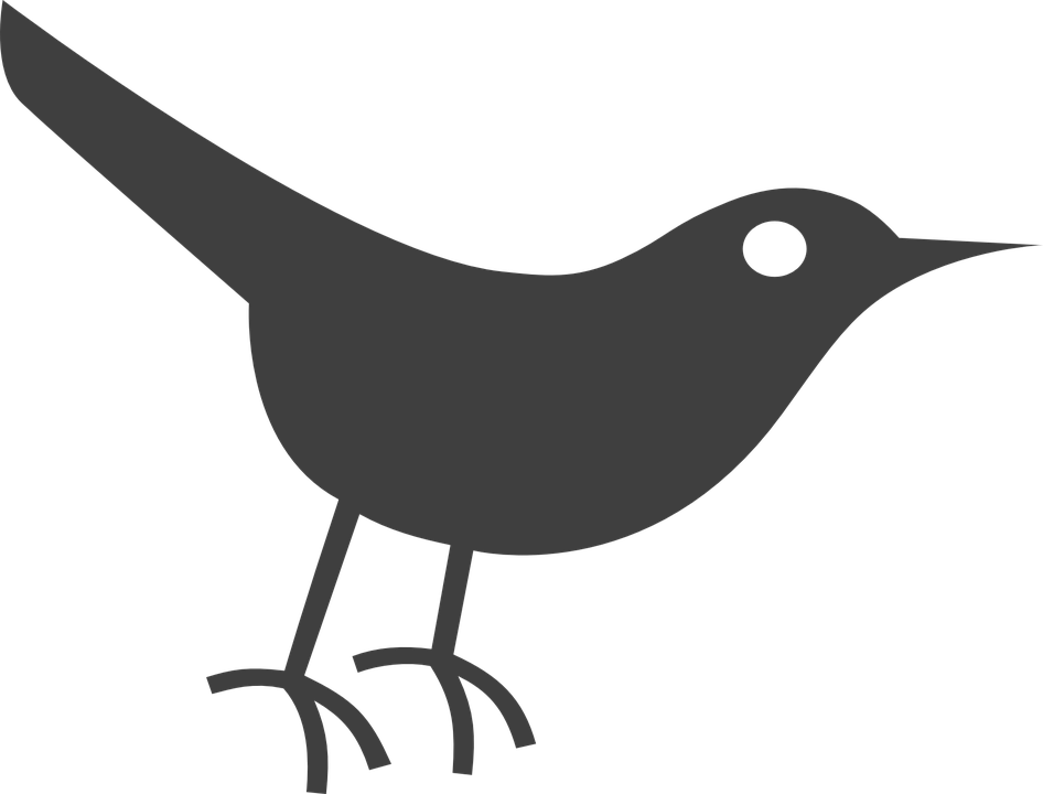 Simplified Black Bird Silhouette PNG