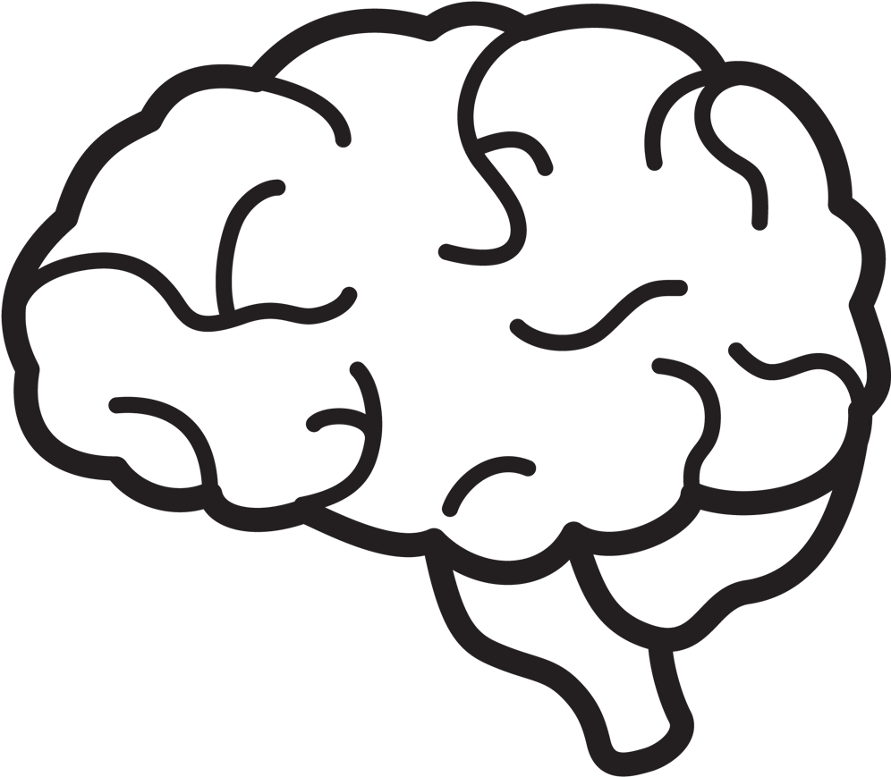 Simplified Brain Illustration PNG