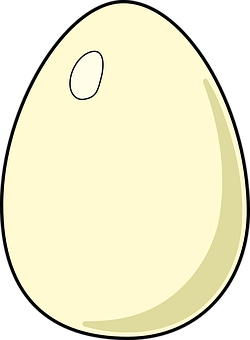 Simplified Cartoon Egg Illustration PNG